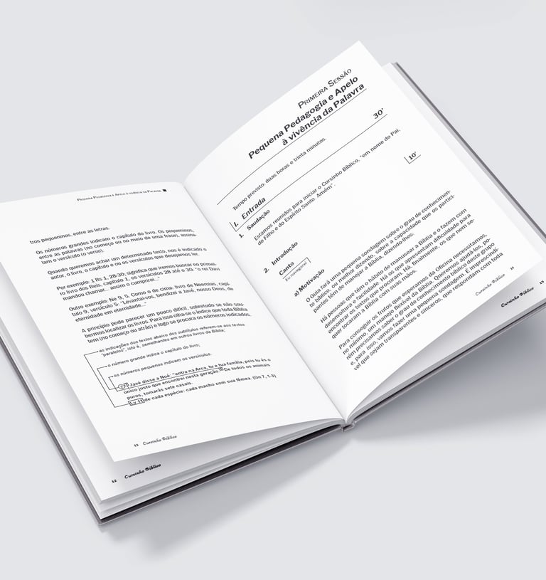 Livro cristão diagramado