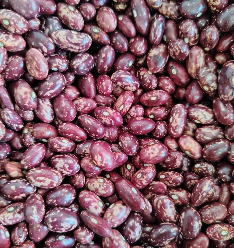 Frijol variedad Cargabello jaspeado de cáscara suave venta al por mayor y detal