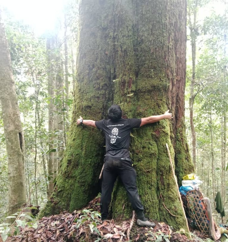 a man hugging to a giant tree during the expedition