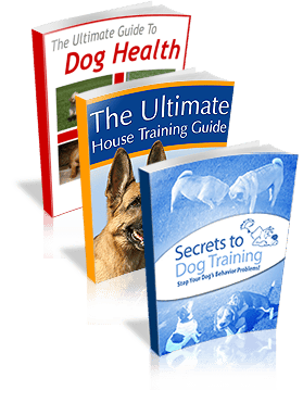 Dog training books