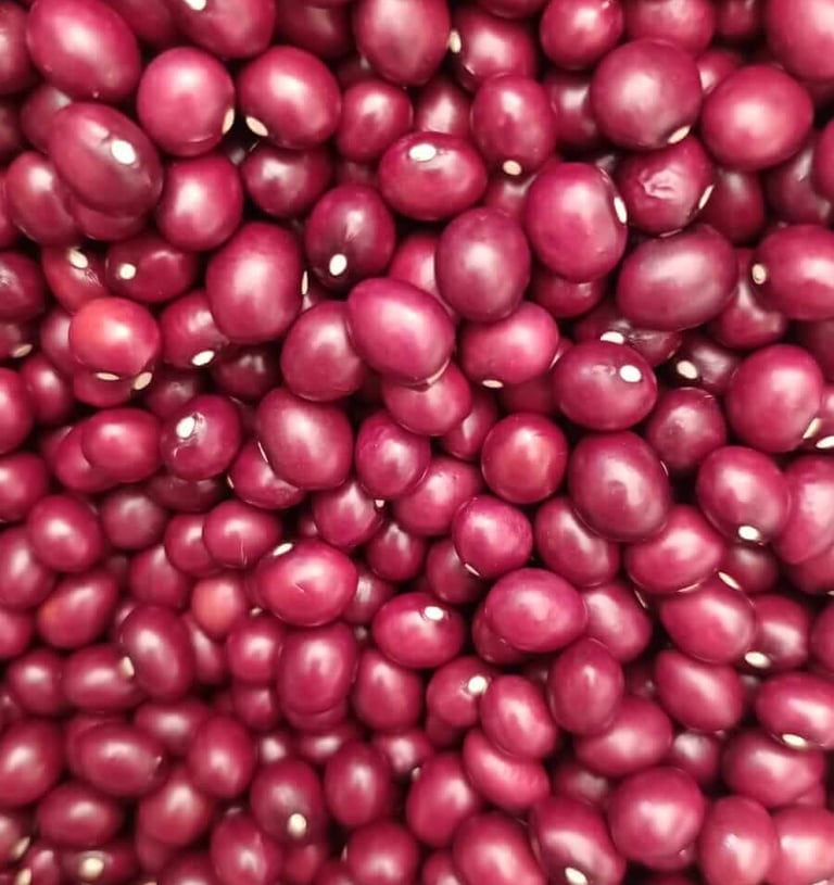 Frijol variedad Bolo Rojo grano redondo y fresco cultivado en Cajamarca Tolima