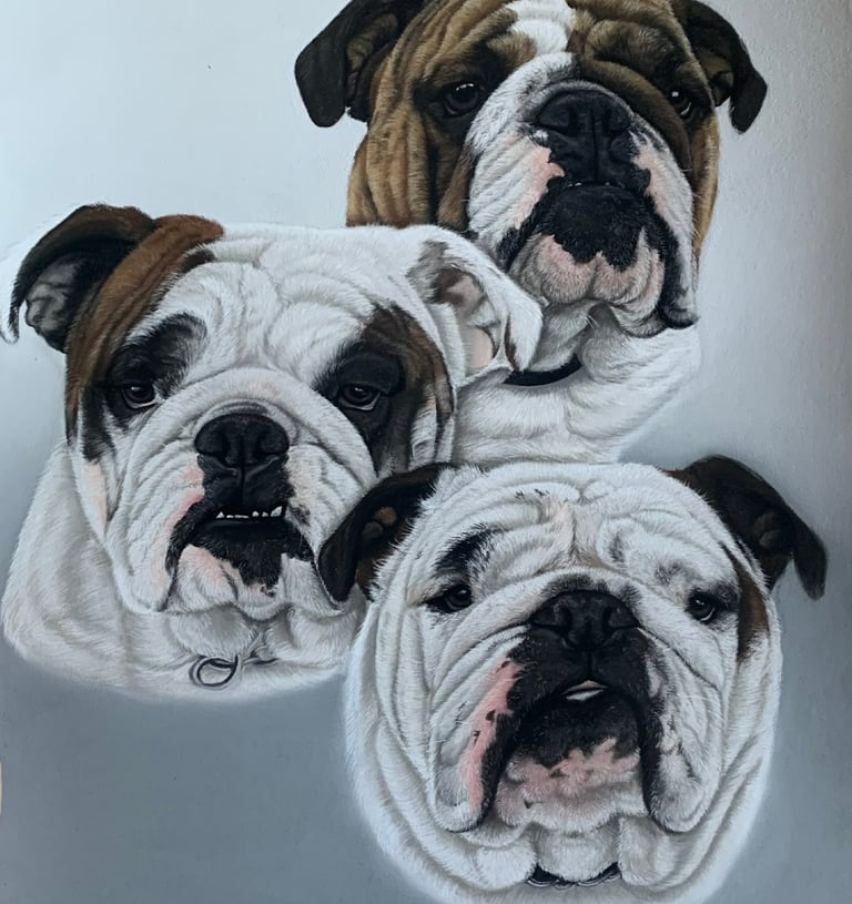 Pet portrait commission
