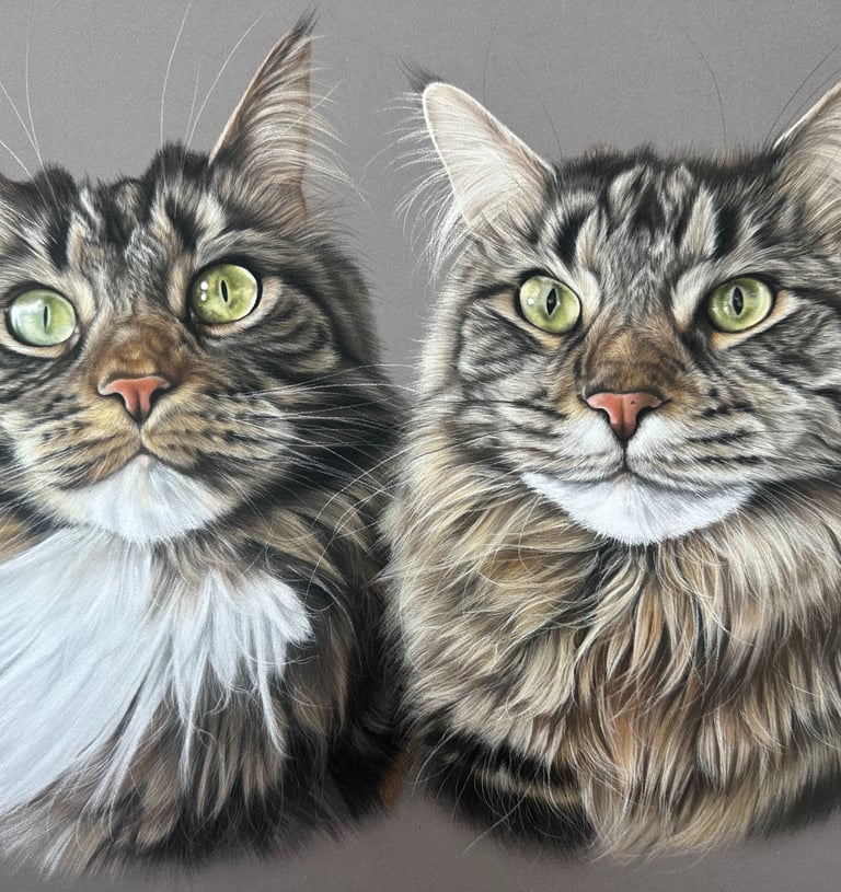 Pet portrait commission