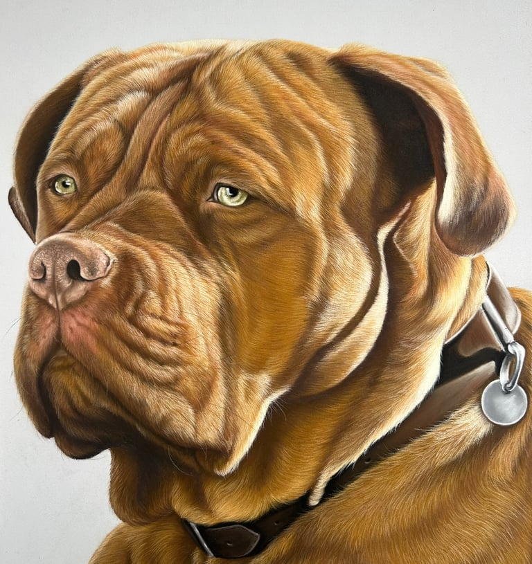 Realistisch dierenportret laten maken