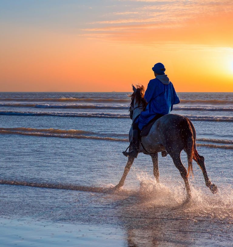 balade à cheval à agadir