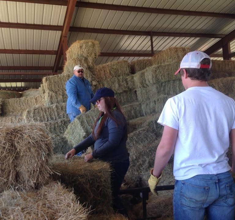 Hay for sale 