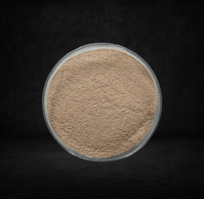 Bacterial Xylanase, raw material for international export