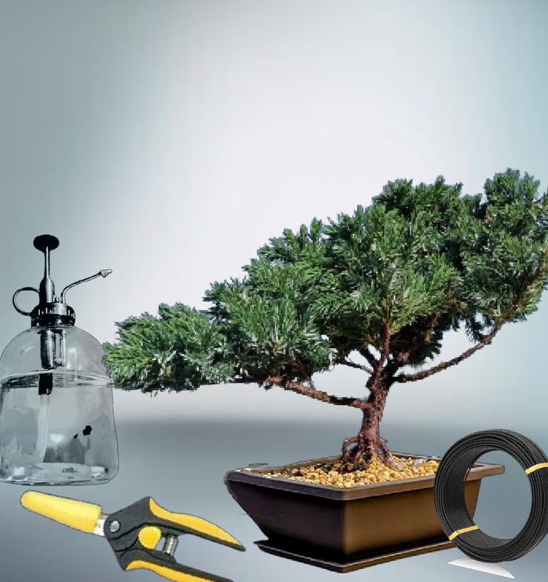 image of bonsai boi starter tree bundle kit.