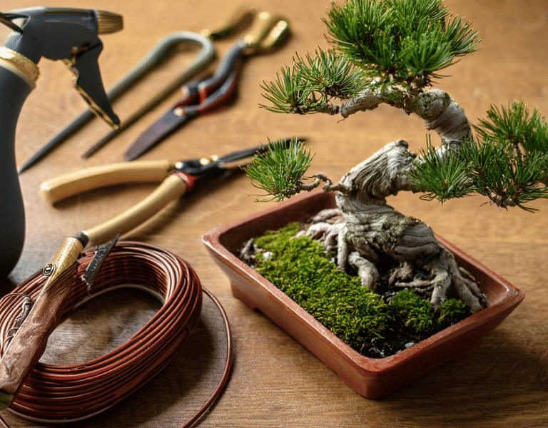 bonsai tools on table top