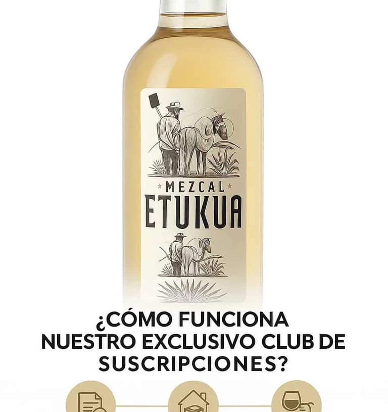 Infografía simple con iconos que muestran los pasos: 1. Elige tu plan, 2. Recibe tu mezcal, 3. Disfr