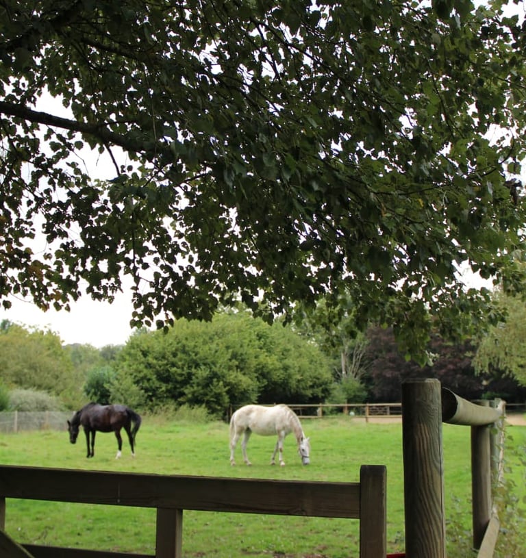 paddocks
