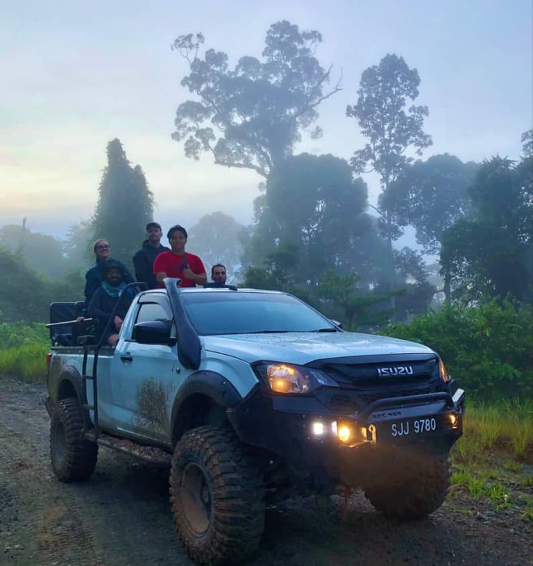 Guest looking for wildlife standing at the back of the truck looking for wildlife at Deramakot
