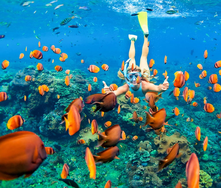 A woman snorkeling in clear blue water surrounded by vibrant orange tropical fish over a coral reef.