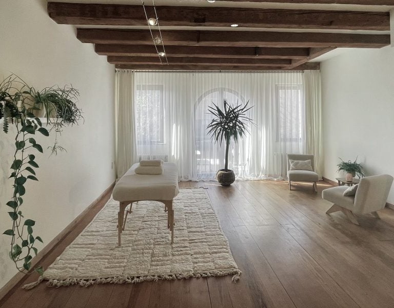 a spacious massage studio with a massage table and a plant