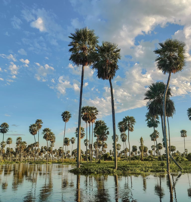 Paysage du Bañado La Estrella, habitat d’oiseaux et tourisme responsable