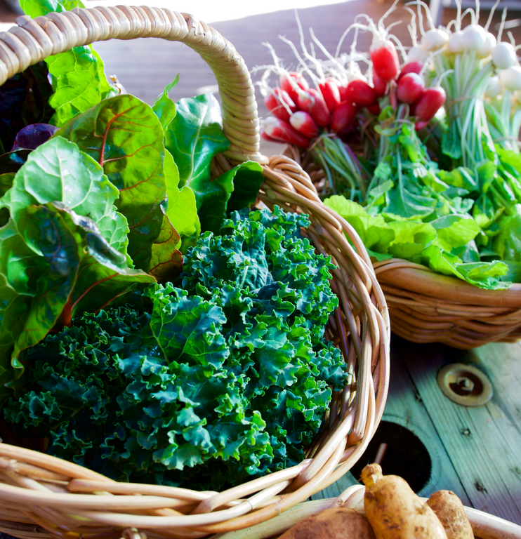 SELECTION OF HEIRLOOM VEGETBALES | Grown from seed to plate