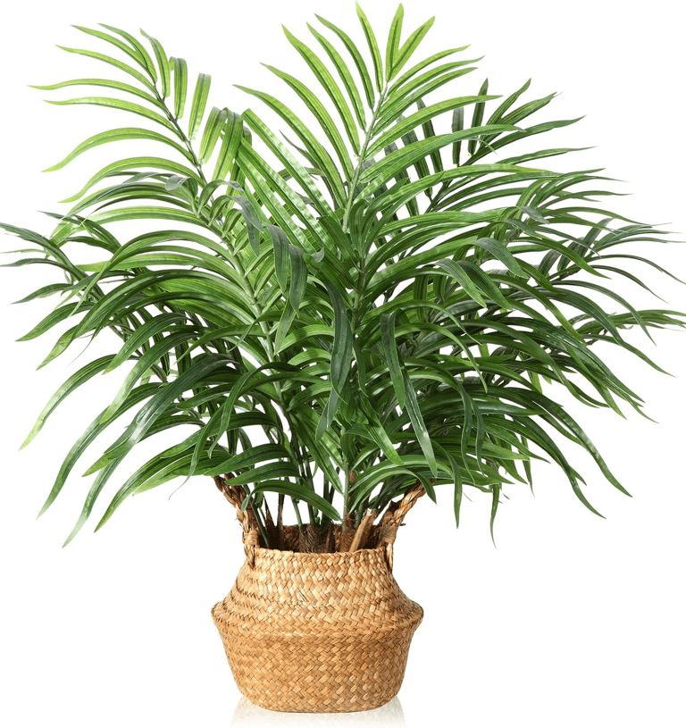 a palm tree in a wicker basket basket