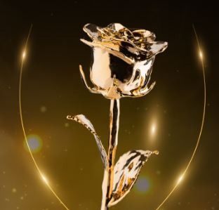 24K Gold Rose Travel Gift