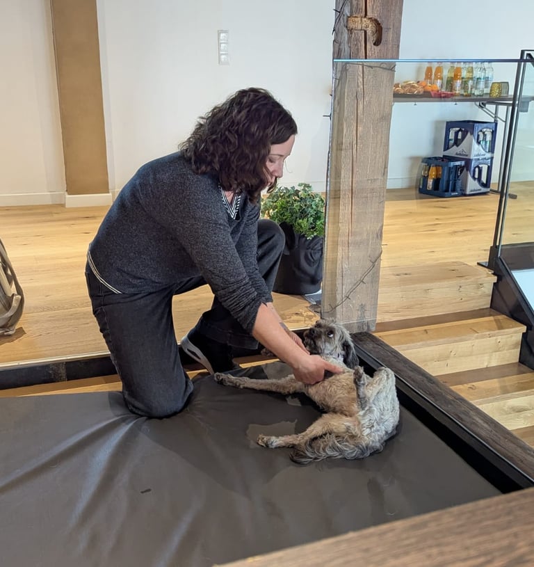 Svenja behandelt Pudeldame Paula.