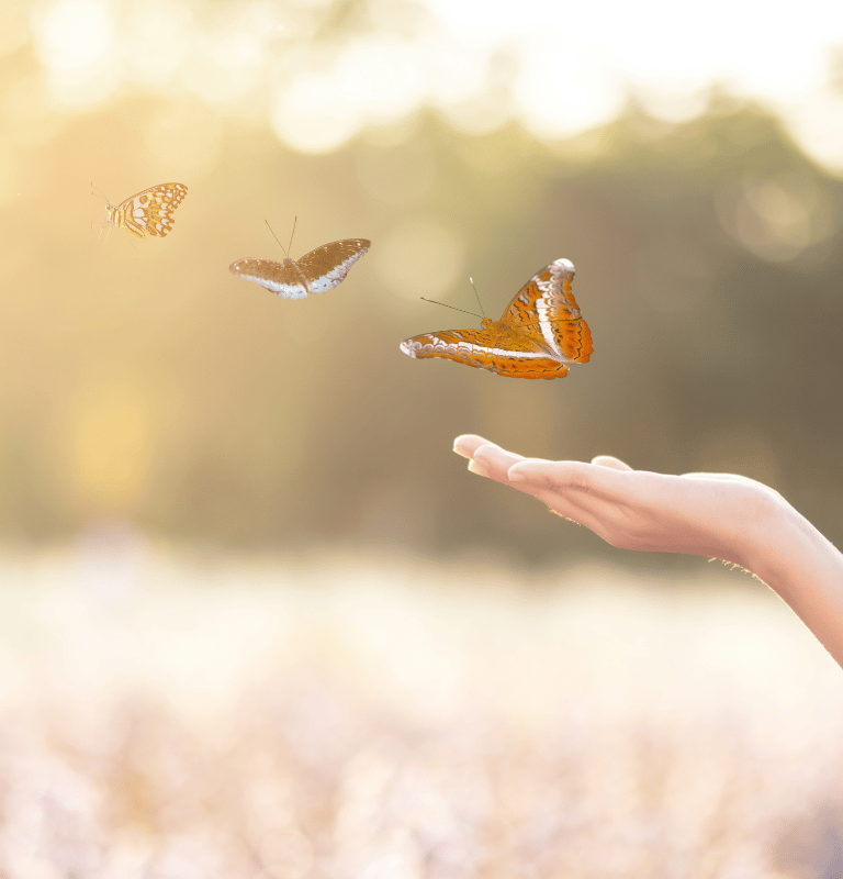 Sesiones Neurocoaching Online
