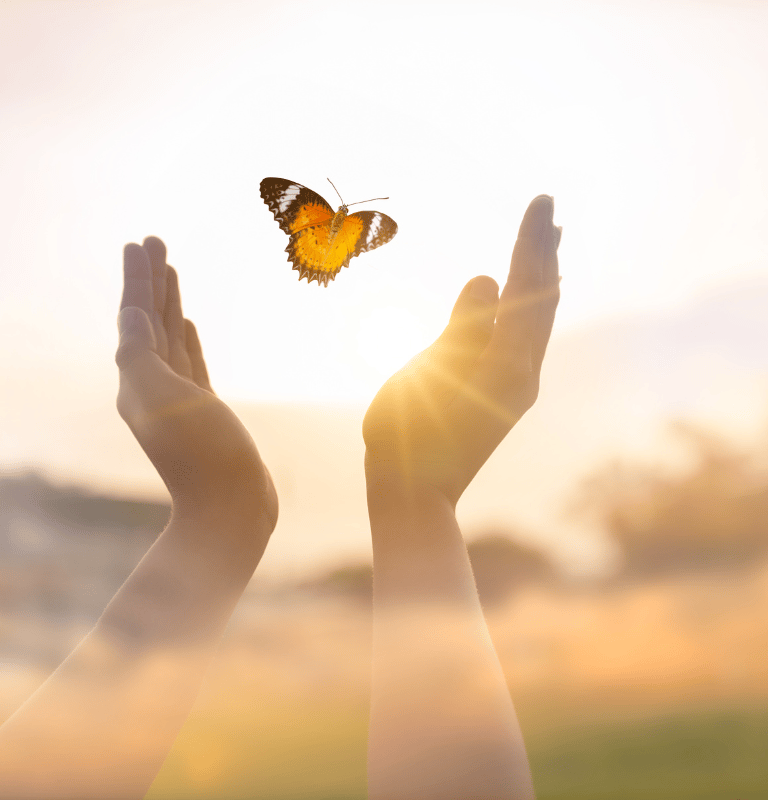 Sesiones Neurocoaching Online