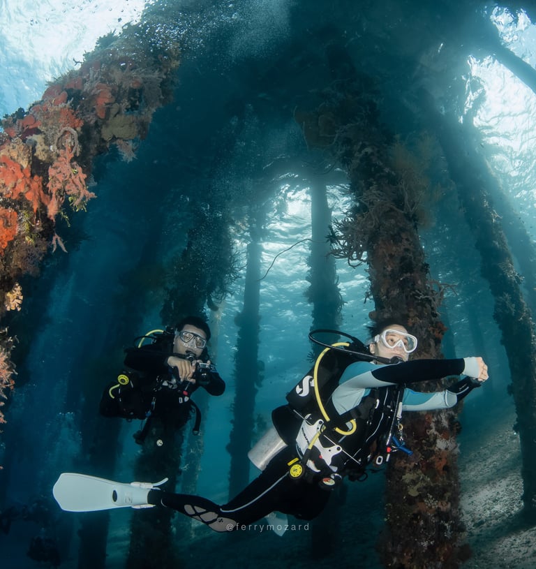 two scuba divers underneath a jetty