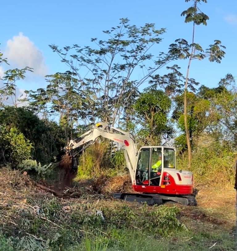 Landscaping and tree removal service Pahoa, Hawaii