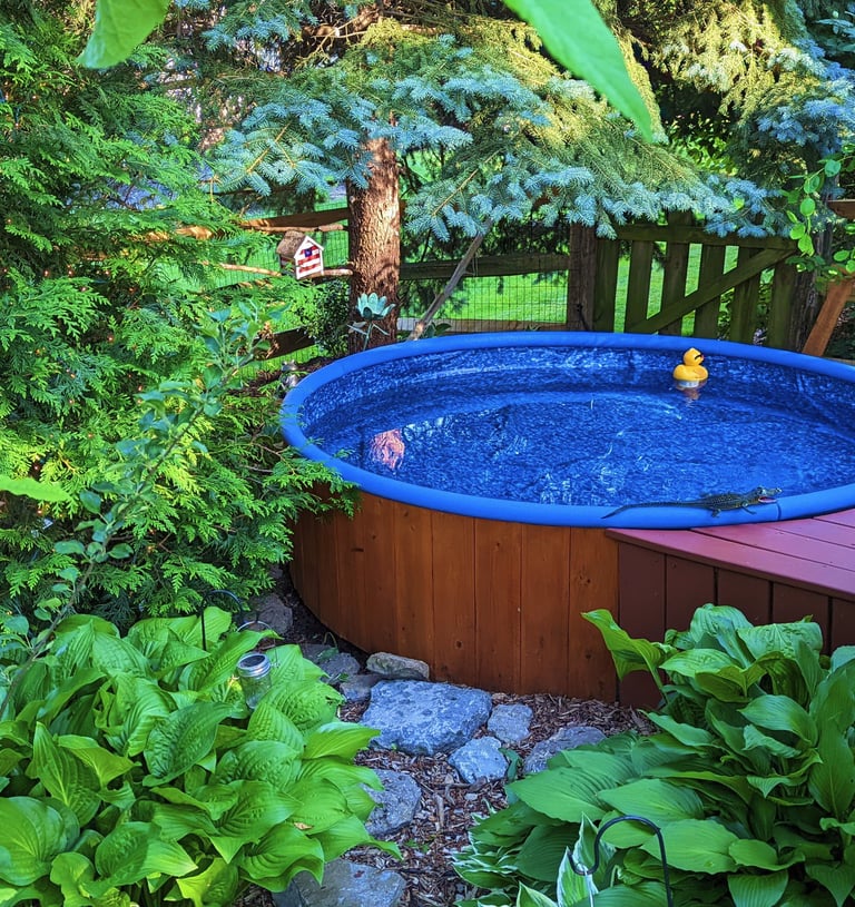 a sweet stock tank adult kiddie pool