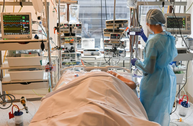 Mechanical Ventilators  Anesthesia Machines  Bedside Monitors  ECG Machines  Infusion Pumps  Perfusi
