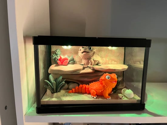 Bearded Dragons in enclosure with plants, rocks and 'mood' lighting