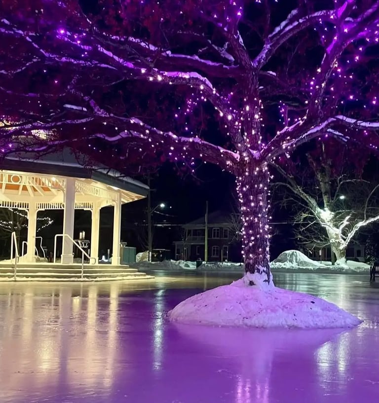 Luxury winter chauffeur service in Muskoka
