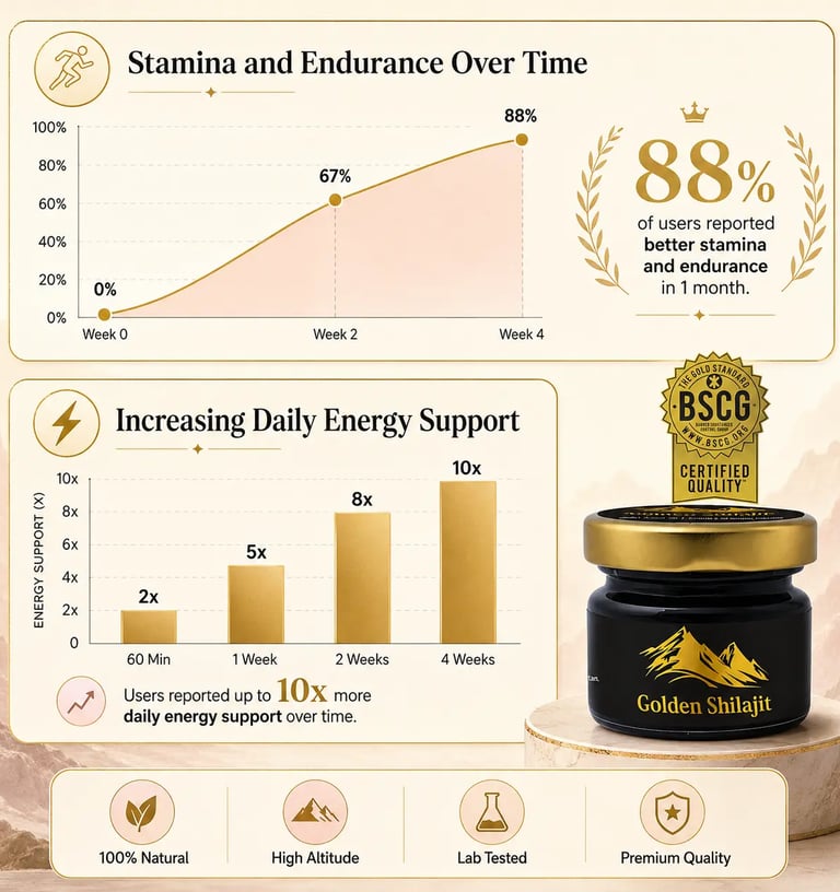 Infographic showing Golden Shilajit benefits for stamina, endurance, and 10x more daily energy support.