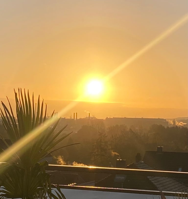 a sunset over a city skyline with a palm tree