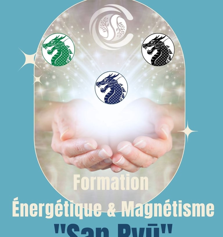 formation-soin-energetiques-magnetisme-christophe-meunier