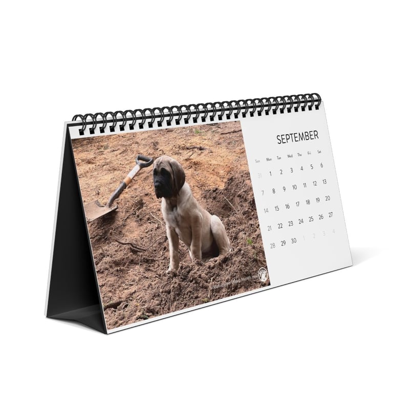 desktop calendar