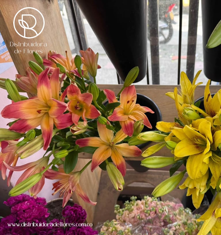 distribuidora de flores pereira