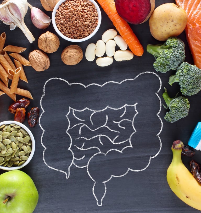 blackboard with a drawing of intestines with a variety of fruits, grains, and legumes surrounding
