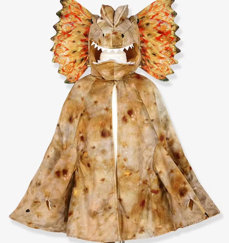 deguisement halloween enfant