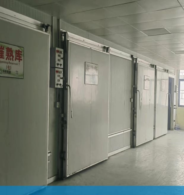 Banana Ripening Room