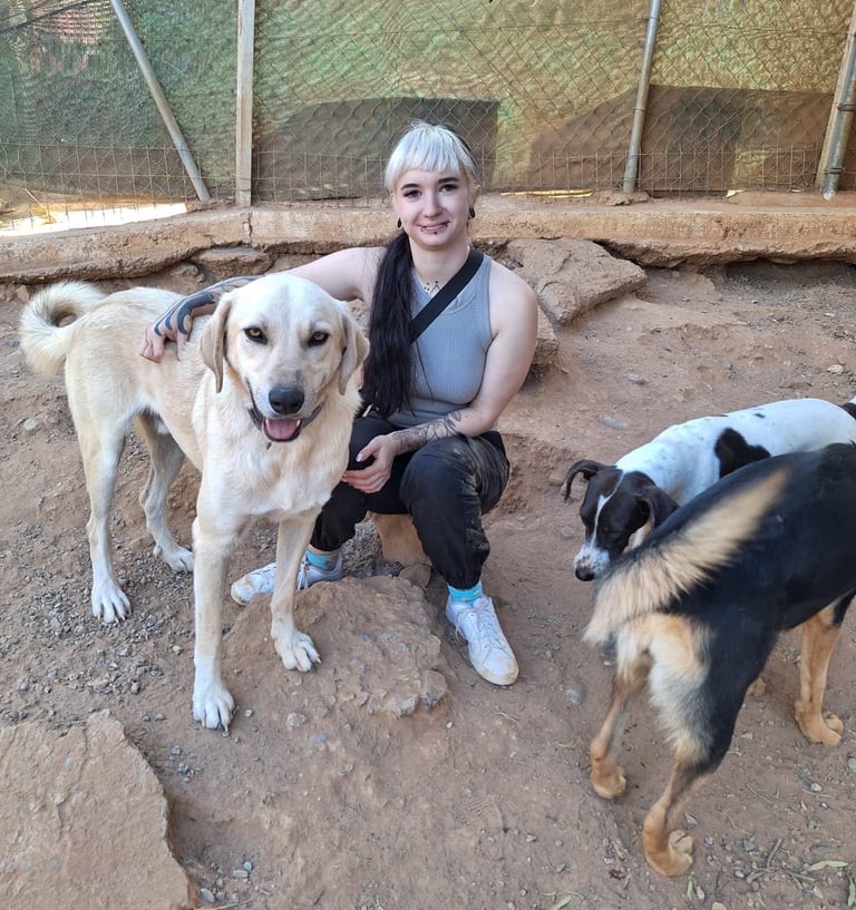 Mel mit Tierschutzhund