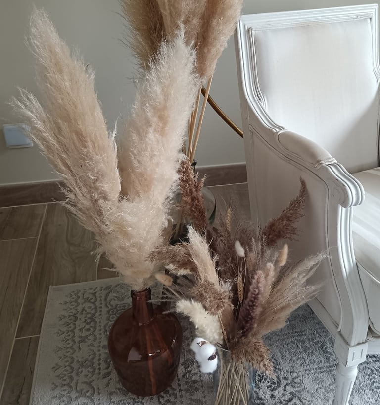 tiges de pampas