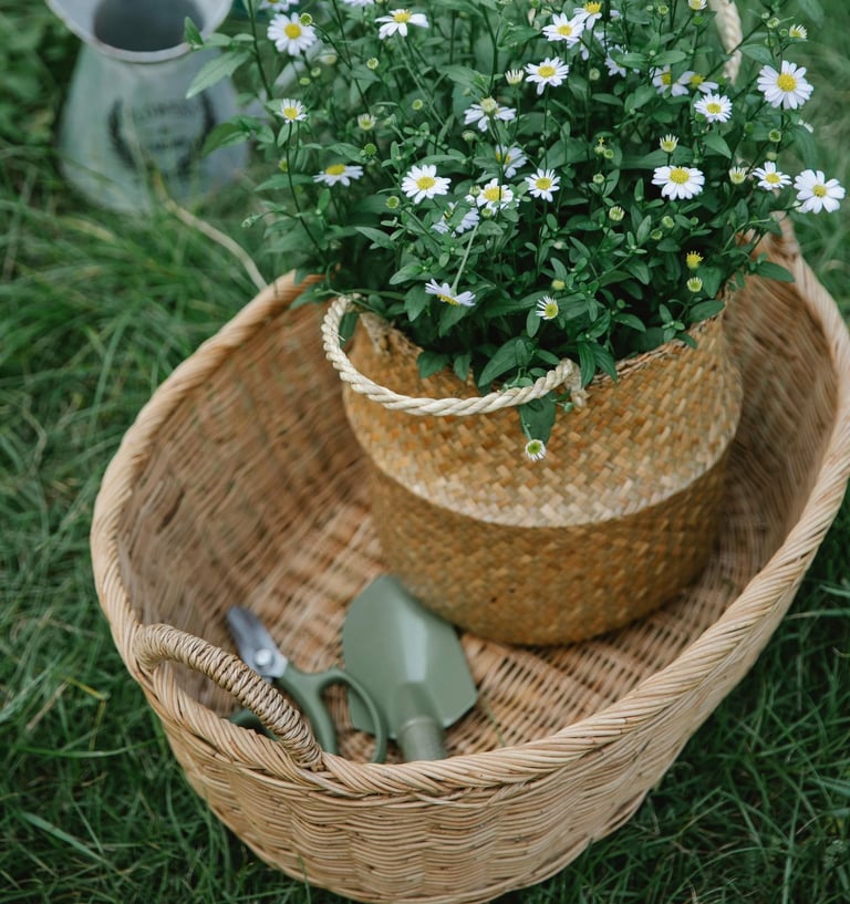 a basket weave basket with forager's tools and daisies
