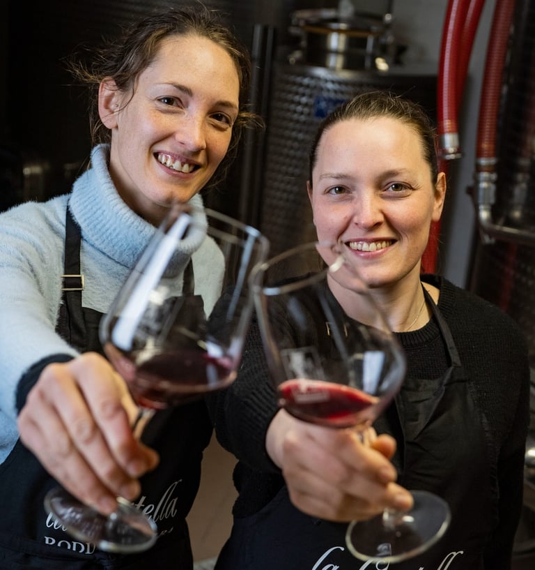 Vino di Roddino delle Langhe