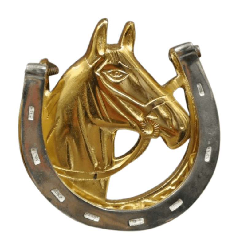 a horse shoe shoe with a horse head in the middle of a horseshoe shaped horse