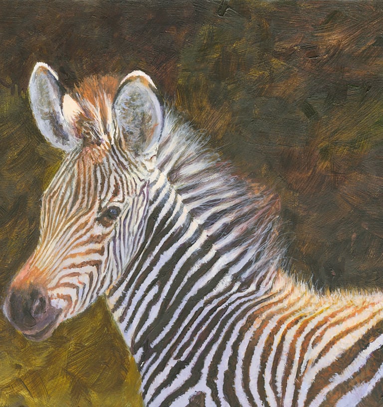 “12×16 zebra foal print on paper or canvas (open edition)”