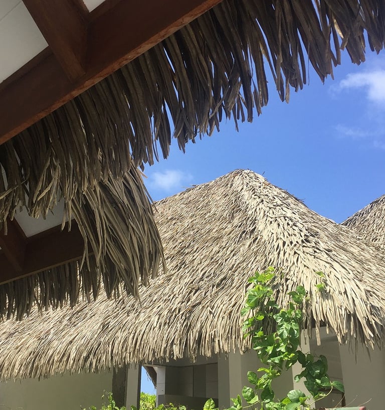 Palm thatched roof