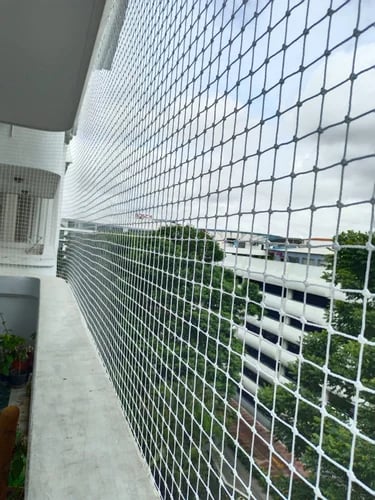 Birds Net keeps your home, balcony, garden, or office safe from birds and pigeons