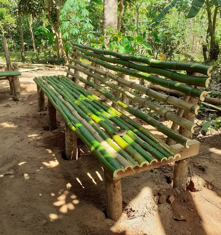 Ferme Aménopé Togo