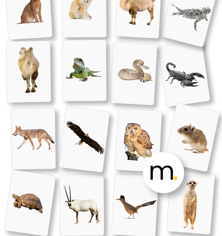 Printed Montessori Desert animals flash cards English Spanish real photographs