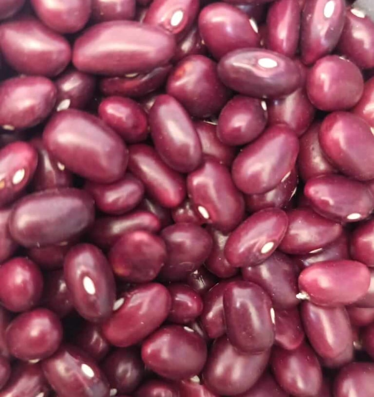 Frijol variedad Cerinza color rojo oscuro vino tinto grano firme